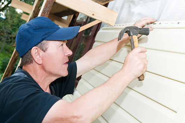 Best Insulated Siding Installation  in Catlin, IL